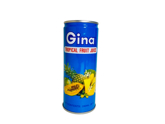 Gina Tropical Fruit Juice 240 ml