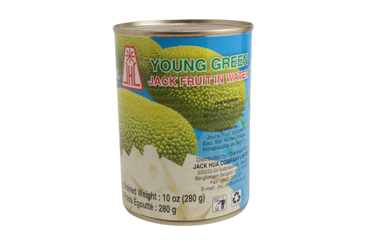 JHC Young Green Jackfruit in Water 565g